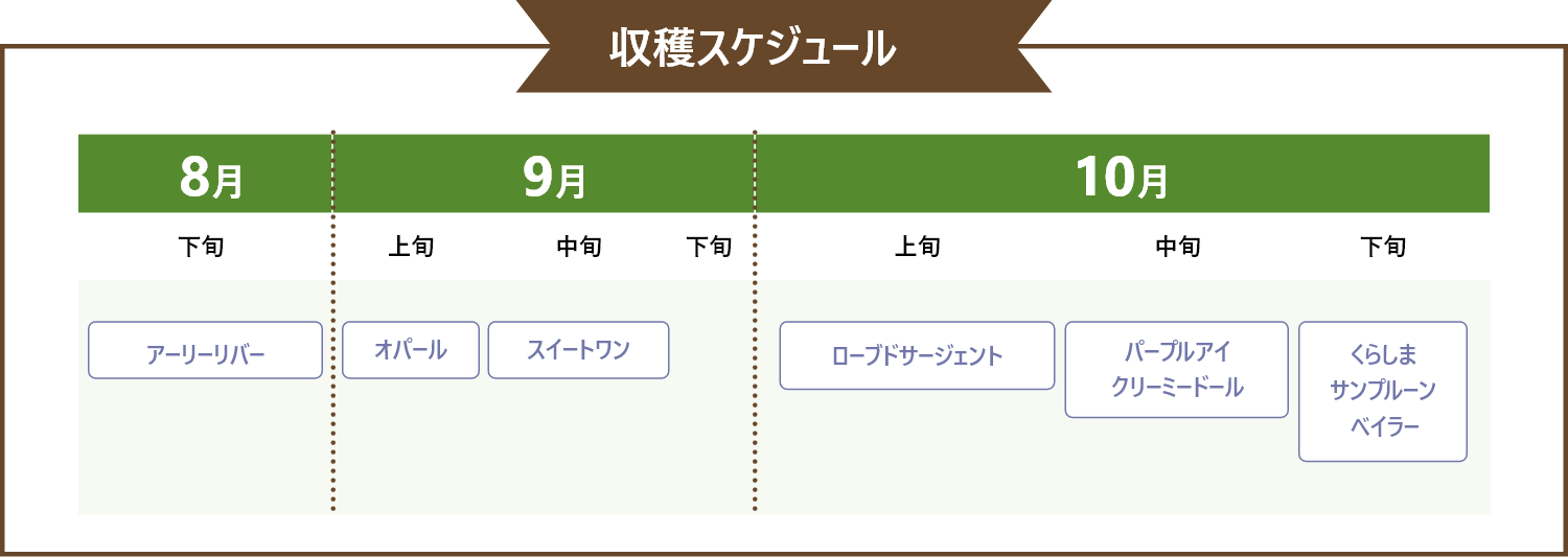 プルーンの収穫スケジュール